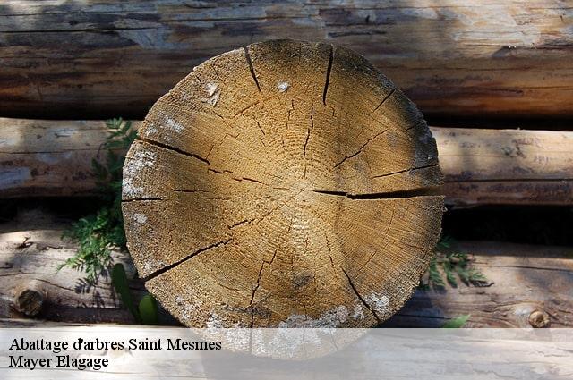 Abattage d'arbres  saint-mesmes-77410 Mayer Elagage