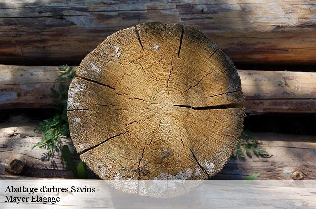 Abattage d'arbres  savins-77650 Mayer Elagage