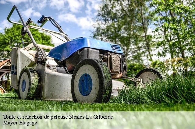 Tonte et refection de pelouse  nesles-la-gilberde-77540 Mayer Elagage