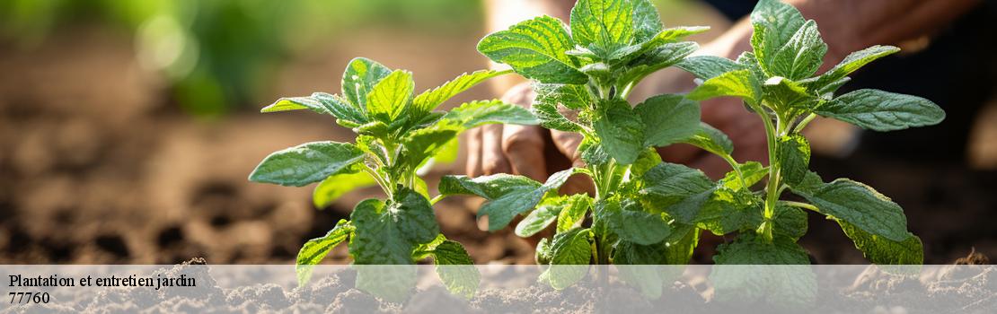 plantation-et-entretien-jardin  77760