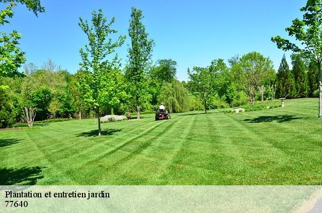 Plantation et entretien jardin  77640