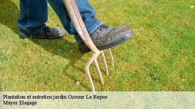 Plantation et entretien jardin  ozouer-le-repos-77720 Mayer Elagage