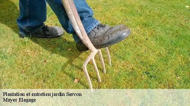 Plantation et entretien jardin  servon-77170 Mayer Elagage