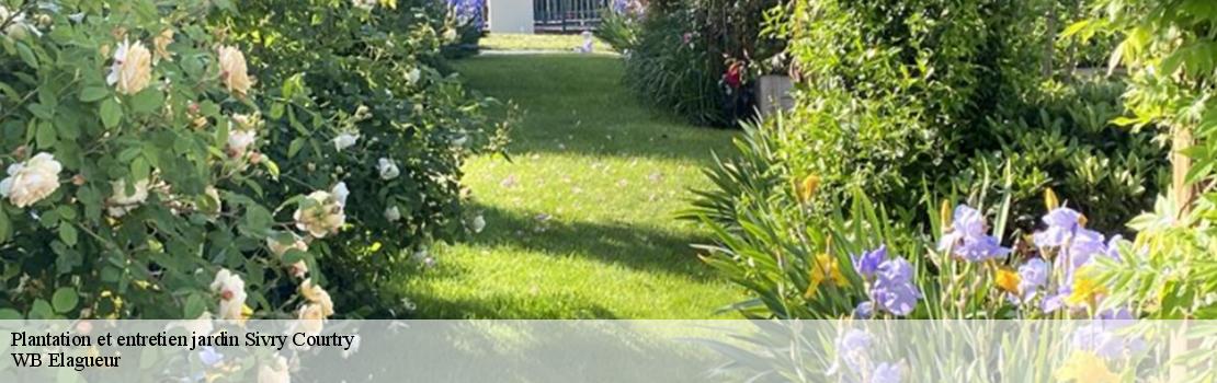 Plantation et entretien jardin  sivry-courtry-77115 WB Elagueur 