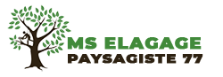 elagage-ms-elagage-paysagiste