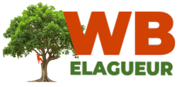 elagage-wb-elagueur